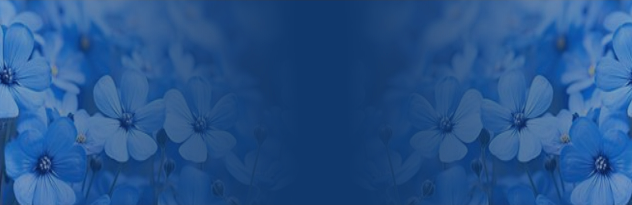 Investment Background